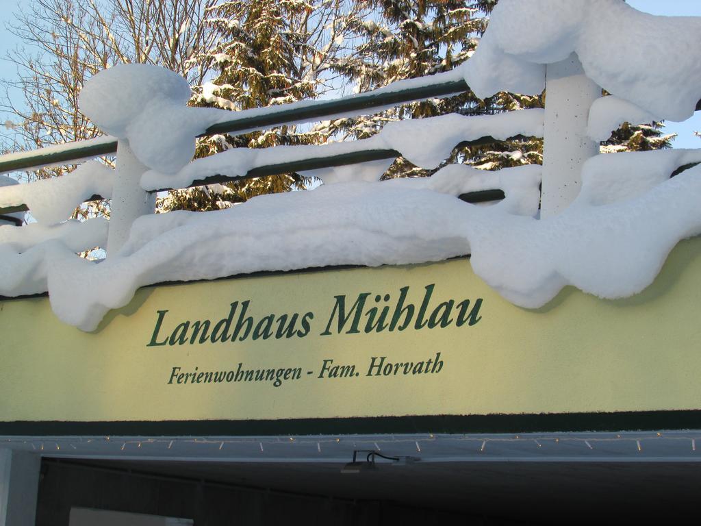 Apartment Landhaus Muehlau In Tirol Erpfendorf Exterior photo